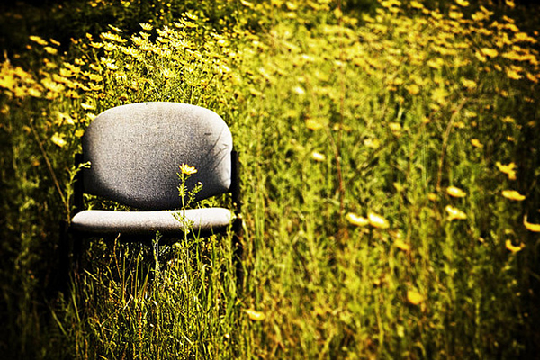 Office chair in field