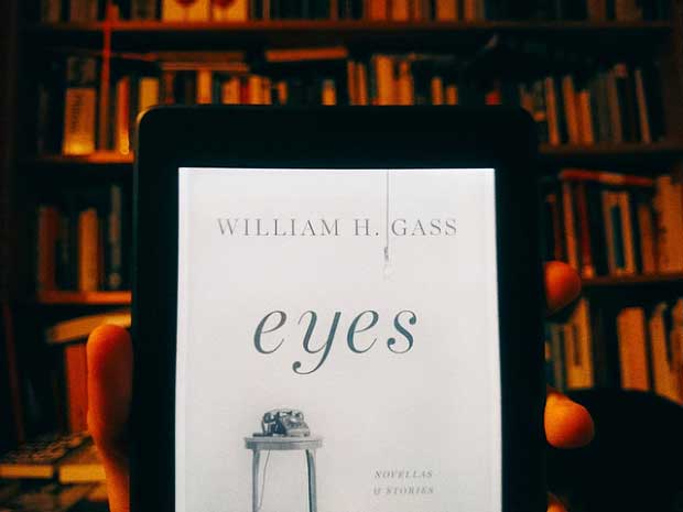 “Eyes” by William H. Gass:  A Review