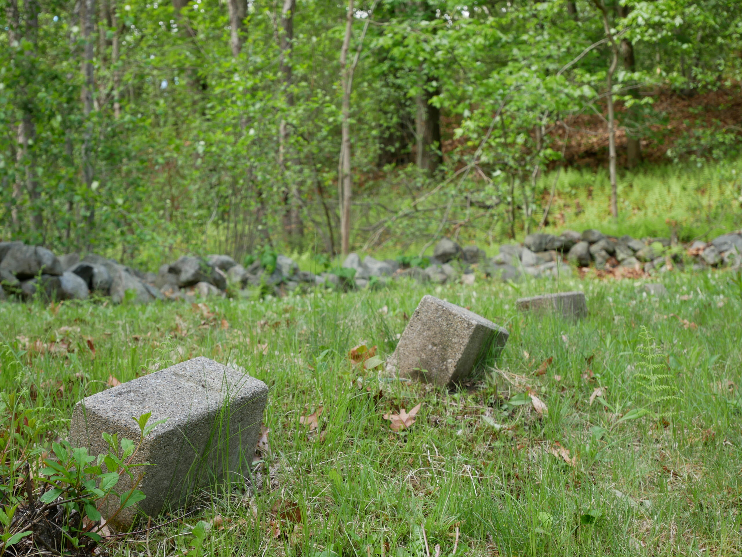 A Murmuration of Stones