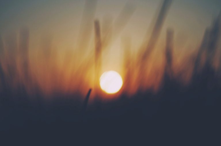 Maybe the Sun and Ten Years After 16