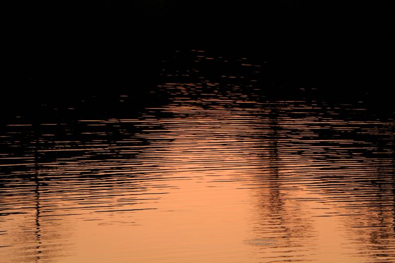 Teeth Beneath the Surface