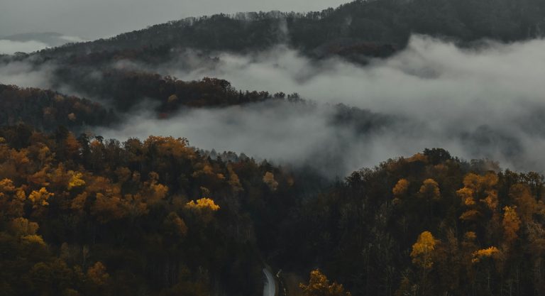 Scrapbook Deckle-Edged Photo