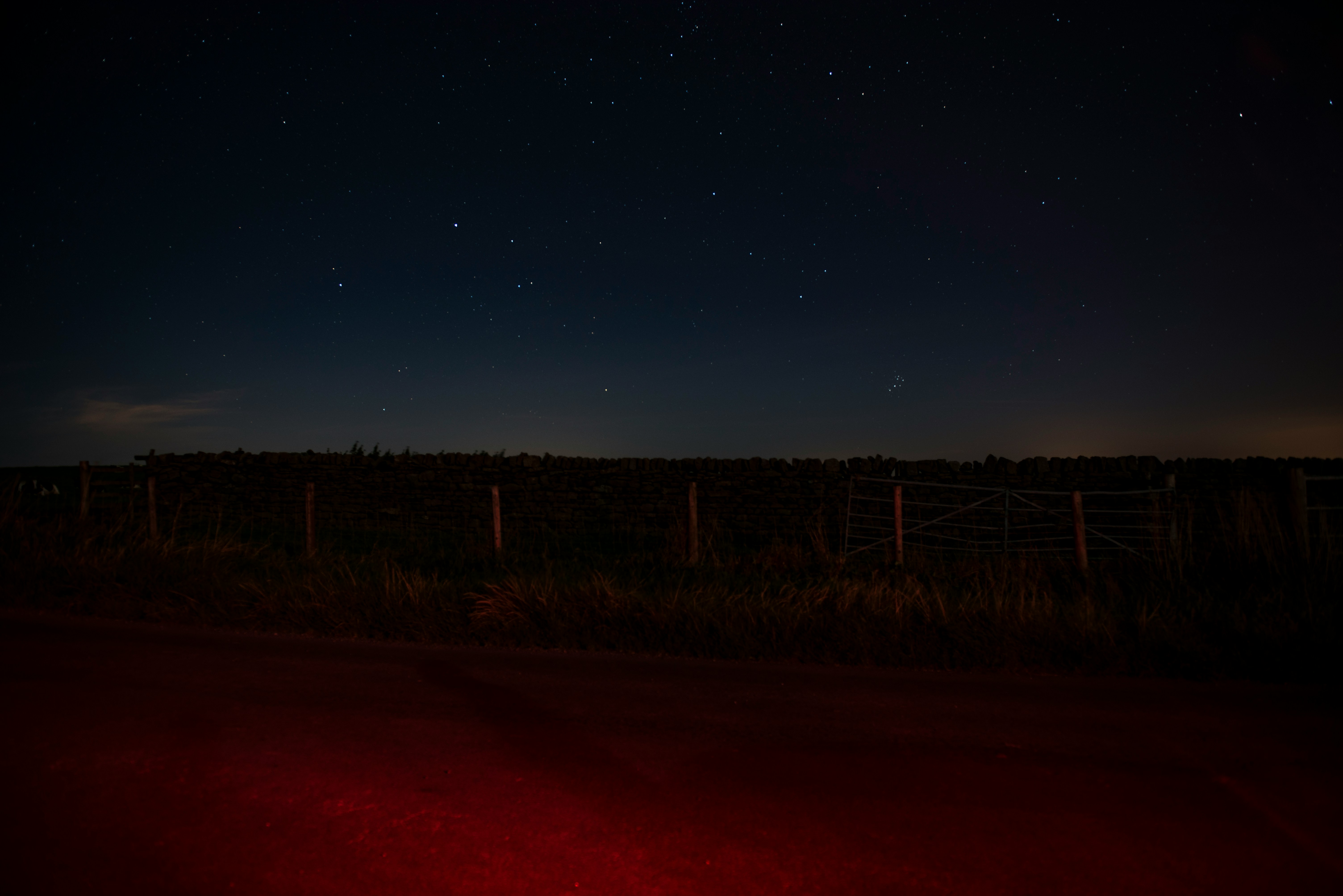 The Year the Wolves Were Bad