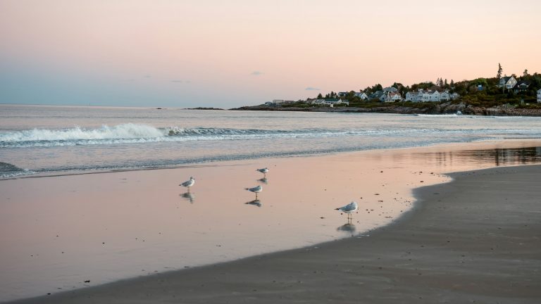Biddeford Pool, Maine