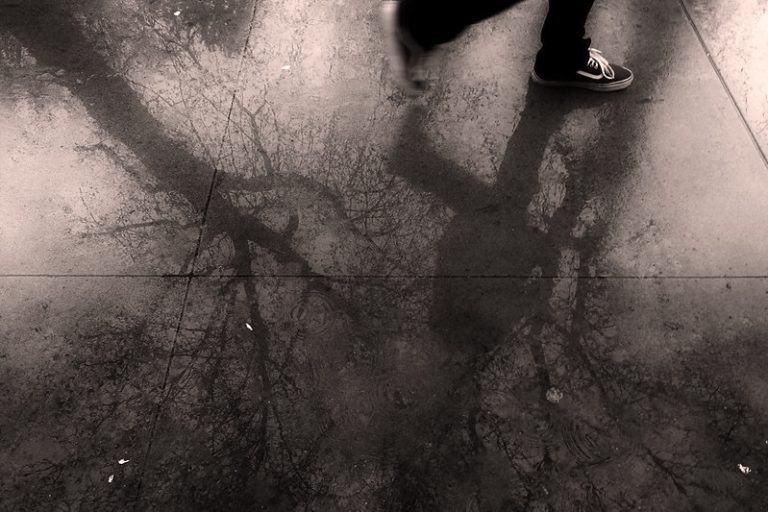 I’ve Got a Lot on the Cascadia Plate