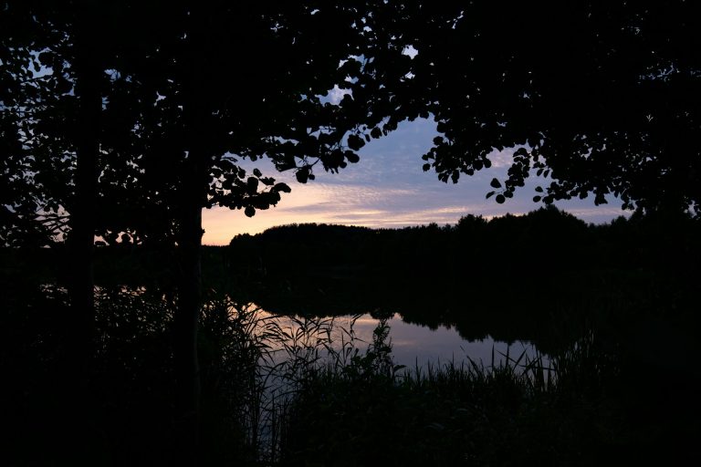 Not Girl but Leviathan