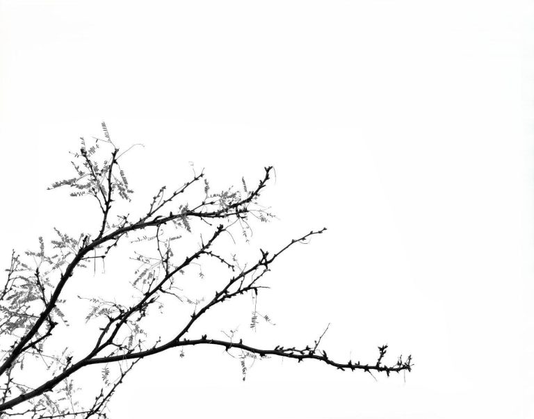 Simple Elements of Nature I-X