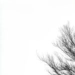 simple-elements-of-nature-michael-roberts_6