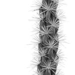 simple-elements-of-nature-michael-roberts_7
