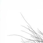 simple-elements-of-nature-michael-roberts_8